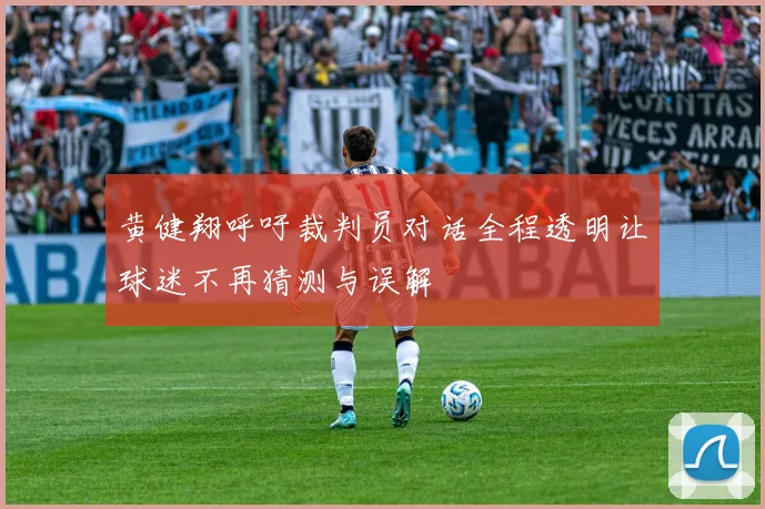 黄健翔呼吁裁判员对话全程透明让球迷不再猜测与误解